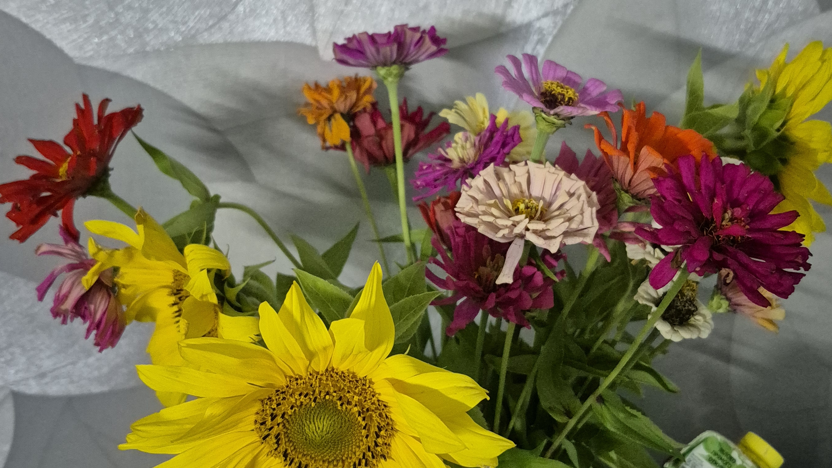 ОБЗОР МОИХ ДЕЛ ...! смотреть онлайн