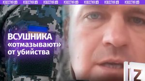 Беспредел на Харьковщине: прикрывают военного, сбившего насмерть человека