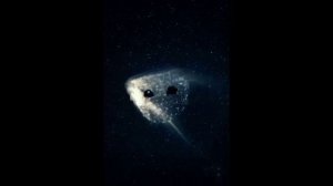 Женщина - комета