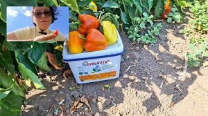 Дневник Агронома №40 часть 1