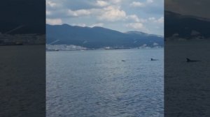 2_5316724639735502662.mp4