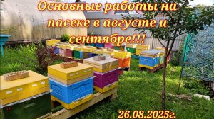 Какие основные работы сделал на пасеке в августе и буду делать в сентябре.Осмотр пасеки.