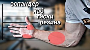 Тренировка силы хвата в домашних условиях