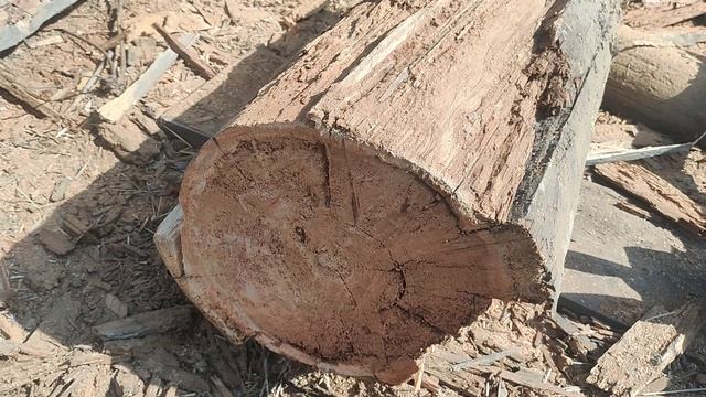 Конец разбора всех сараев и что дальше