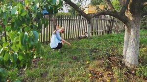 Семейная традиция: моя дочь собирает груши — как это было!