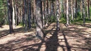 Стоянки Уницкой губы. Часть 8