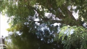 Новости Любимовки. Выпуск 26.08.2025г.