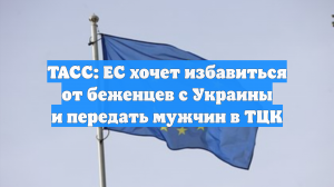 ТАСС: ЕС хочет избавиться от беженцев с Украины и передать мужчин в ТЦК