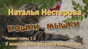Аудиокнига Наталья Нестерова _Кошки-мышки_ Роман 1-2 части У микрофона Марина Багинская