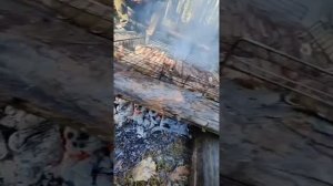 Грибной тур на базе отдыха Тевриз