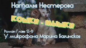 Аудиокнига Наталья Нестерова _Кошки-мышки_ Роман 12-13 части У микрофона Марина Багинская