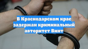 В Краснодарском крае задержан криминальный авторитет Винт