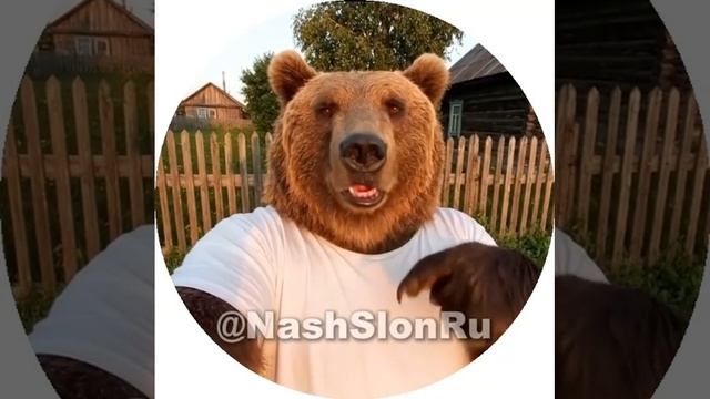 С хорошими пожеланиями