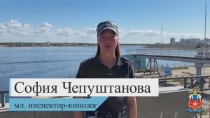 Правда ли, что каждая служебная собака обучается искать только один тип запрещённых веществ?