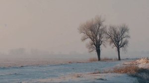 2.16_ Вот и лето прошло...(сл: Рокин Е.П.)