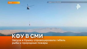 Засуха в Крыму спровоцировала гибель рыбы и природные пожары