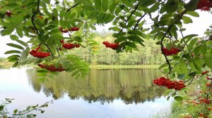 Август. Последняя страница лета.