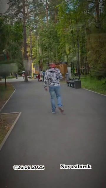 В парке Сосновый бор 26/08/2025 смотреть онлайн