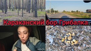 Поехали за Грибами за 200 км от дома. Караканский бор. Чудо место. Первые грибы.