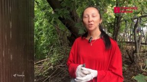 В Томске прошла экологическая акция