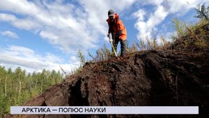 НОВОСТИ СЕВЕРНОГО ГОРОДА, 26.08.2025