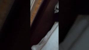 4 часть приключений