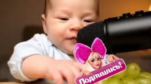 Топ дегустаторы