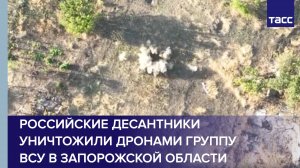 Российские десантники уничтожили дронами группу ВСУ в Запорожской области
