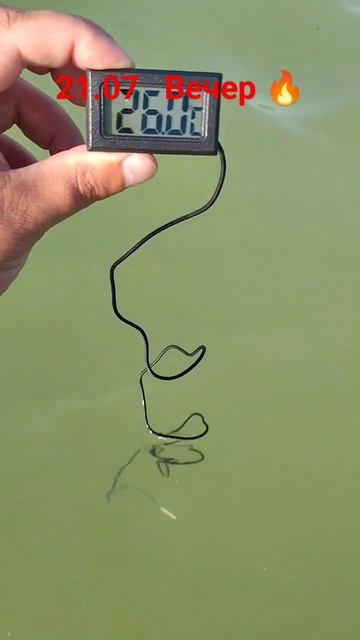 #shorts #крым #море смотреть онлайн