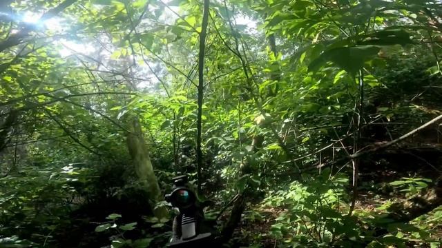 AirSoft  Страйкбол. Воскреска на полигоне Дружба 24.08.2025