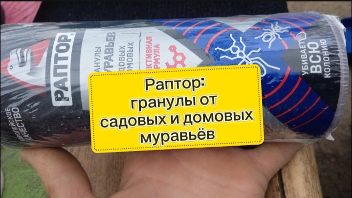 Раптор: отличное средство от садовых и домовых муравьёв, я попробовала, помогает!
