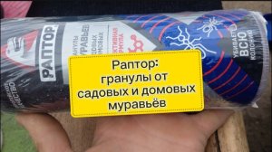 Товары от Wildberies: Раптор, отличное средство от садовых и домовых муравьёв, проверено, помогает!
