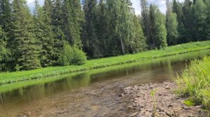 р.койва Пермский край