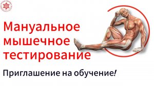Мануальное мышечное тестирование. Приглашение на обучение!