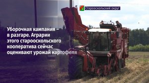 Уборочная кампания – в разгаре
