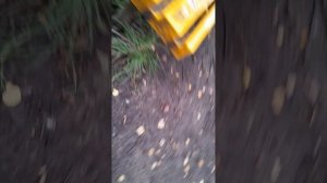 99 ночей в лесу