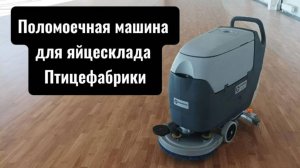 Поломоечная машина с приводом для уборки яйцесклада на Птицефабрике. Техника для уборки производства