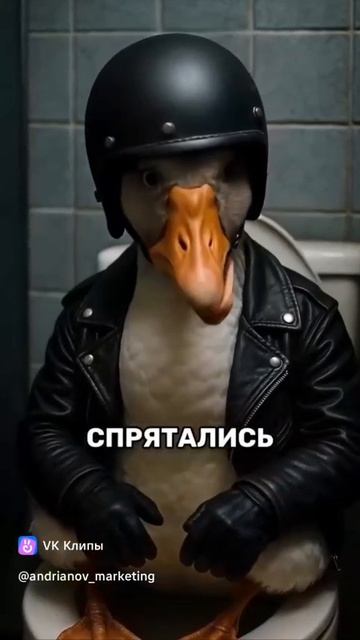 Два весёлых гуся