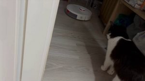 До чего дошел прогресс!