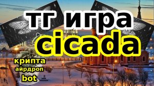 тг игра cicada