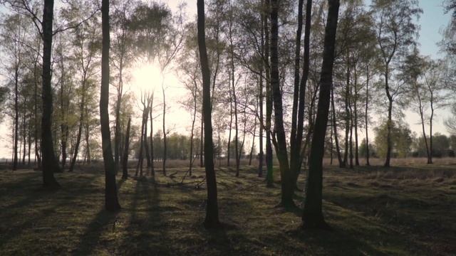 27 августа - День тайного откровения.