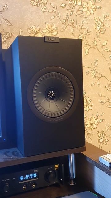 Проверка колонок kef Uni-Q 2