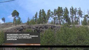 В лес со всеми предосторожностями 25-08-2025