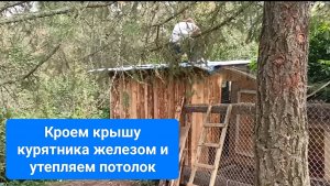 Кроем крышу курятника и утепляем потолок