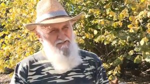 В Елецком районе отпустили на волю двух косуль, которых спасли от неминуемой смерти местные жители