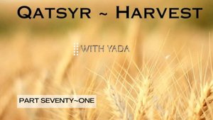 Qatsyr ~ Harvest Part Seventy-One 25 August 2025