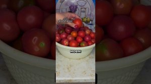 Маринованные помидоры Маскарад. Маринованные помидоры с сельдереем и базиликом