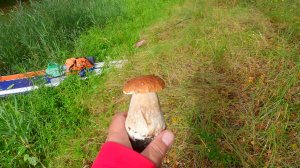 Грибной сплав на Цне 24082025 (1)