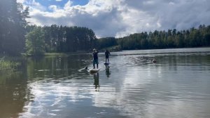 Истра д. Трусово 26-08-2025