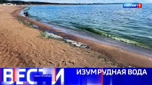 Вести Санкт-Петербург. Выпуск 09.30 от 26.08.2025
